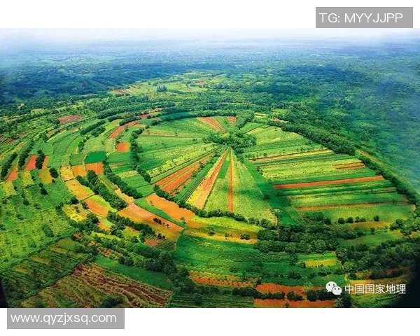 巴西足球明星的辉煌历程与传奇故事全景介绍 巴西足球明星的辉煌历程与传奇故事全景介绍