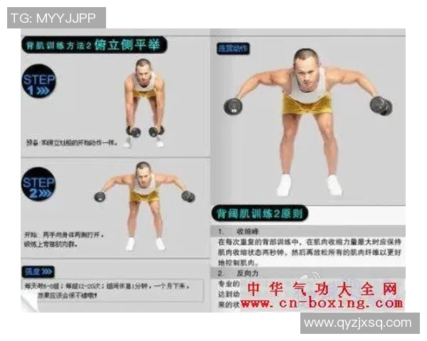 杠铃与哑铃的重量对比分析哪种更适合你的健身需求